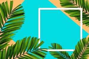 Green palm leaves pattern for nature concept,tropical leaf on orange and teal paper background photo