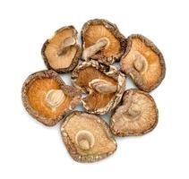 dry shiitake mushrooms isolated on white background photo