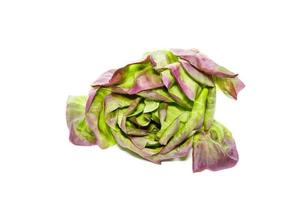 red butterhead lettuce vegetable on white background photo