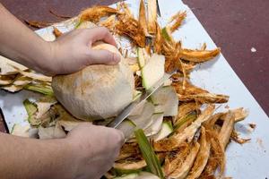 Woman hand holding knife with coconut peeling photo