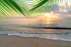 mar de verano con hojas de palma al atardecer y espacio para copiar, concepto relajante del cielo, hermoso fondo tropical para el paisaje de viaje foto