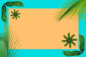 Green palm leaves pattern for nature concept,tropical leaf on orange and teal paper background photo