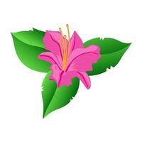 Red flower similar to hibiscus flower and lily flower isolated on white background Vector illustration Free Vector, best of your design motif