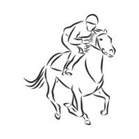 horse training vector sketch