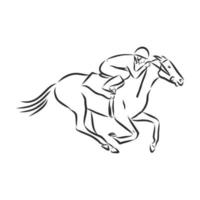 horse training vector sketch