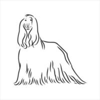 dog vector sketch