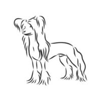 dog vector sketch