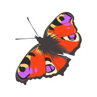 bosquejo del vector de la mariposa