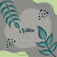 nature lettering in frame vector