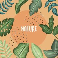 letras de la naturaleza con hojas vector