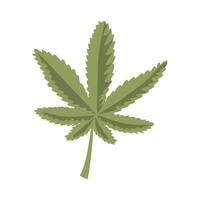 hoja de cannabis medicinal vector