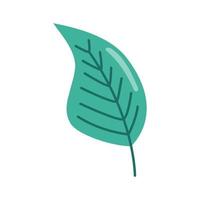 follaje de la planta de hoja vector