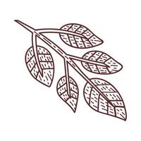 branch with leafs vector