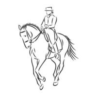 horse training vector sketch