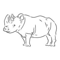 rhino vector sketch