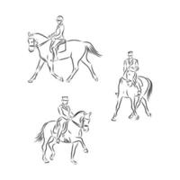 dressage horses vector sketch