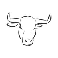 bull vector sketch