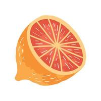 fruta de jugo de media naranja vector
