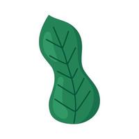 ecology leaf plant vector