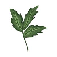 green leaves in branch vector