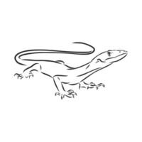 dibujo vectorial de lagarto vector