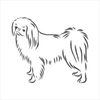 dog vector sketch