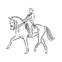 horse training vector sketch