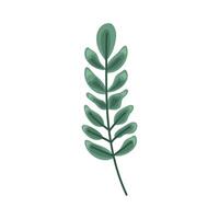 branch with green leafs vector