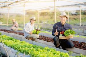 hermoso joven asiático dos hombres y una mujer recogiendo verduras orgánicas frescas con cesta juntos en la granja hidropónica, cosecha y agricultura para alimentos saludables y concepto de negocio. foto