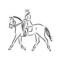 horse training vector sketch