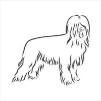 dog vector sketch