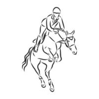 horse training vector sketch