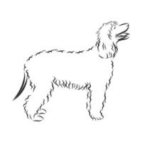 dog vector sketch