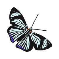 bosquejo del vector de la mariposa