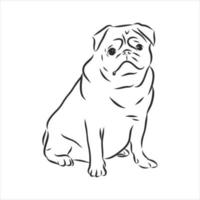 dog vector sketch