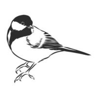 tit vector sketch