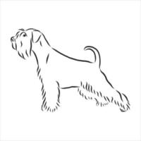 dog vector sketch