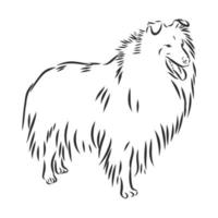 dog vector sketch