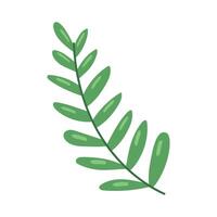 branch with leafs vector