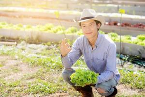 Young asian man farmer holding and showing fresh organic green oak lettuce and gesture ok in farm, produce and cultivation for harvest agriculture vegetable with business, healthy food concept. photo