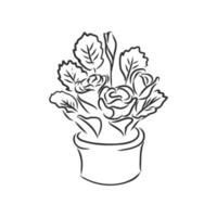 houseplant vector sketch