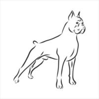 dog vector sketch