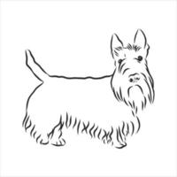 dog vector sketch