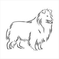 dog vector sketch