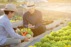 Two young asian man checking and picking up organic fresh vegetable in hydroponic farm and writing record document grow of leaf for quality produce, small business owner concept. photo