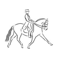 horse training vector sketch