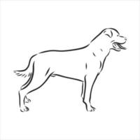 dog vector sketch