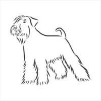 dog vector sketch