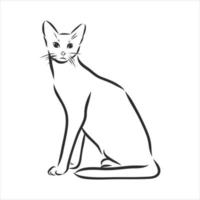 bosquejo del vector del gato