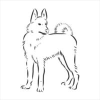 dog vector sketch